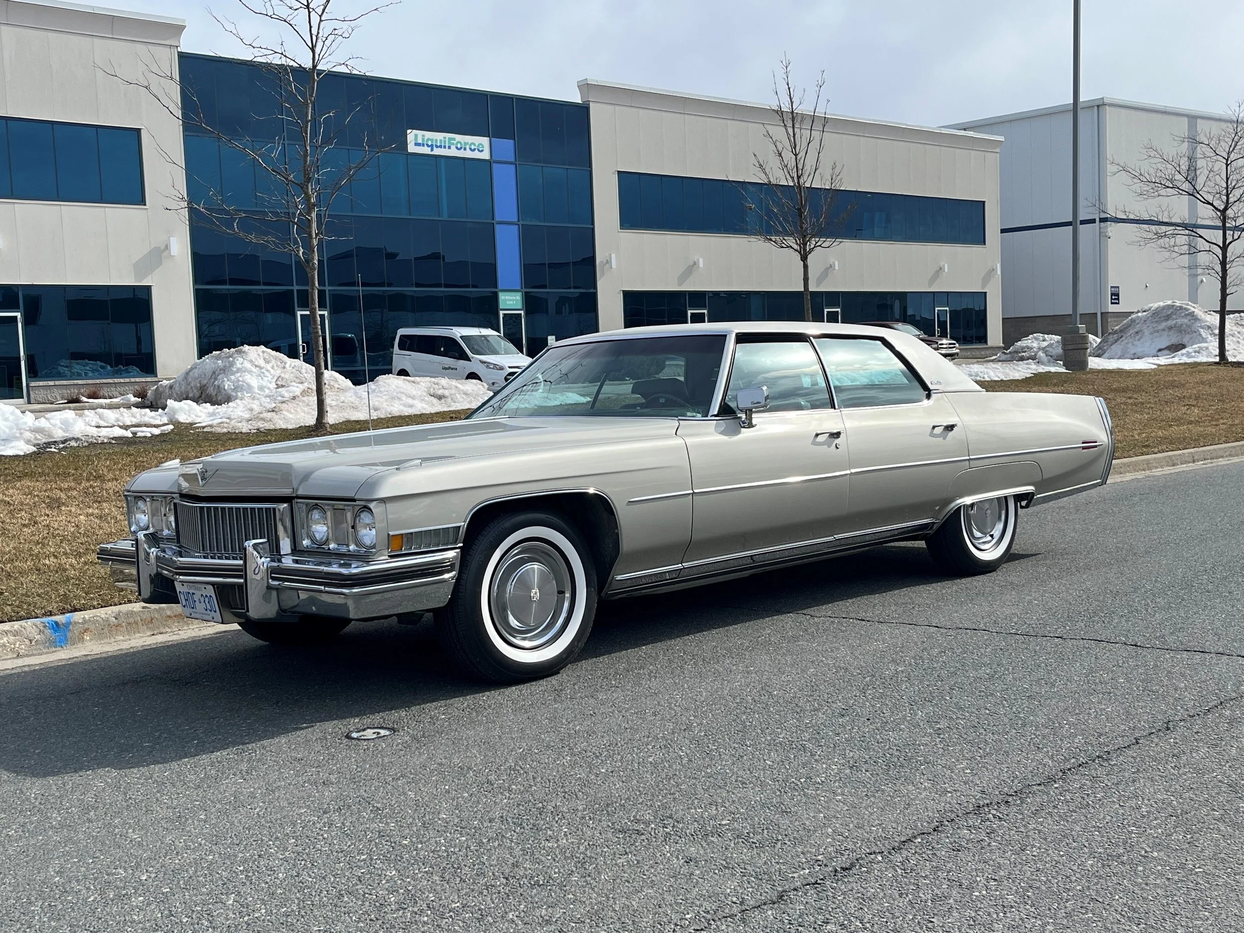 Gallery — Canada Whitewall & Vintage
